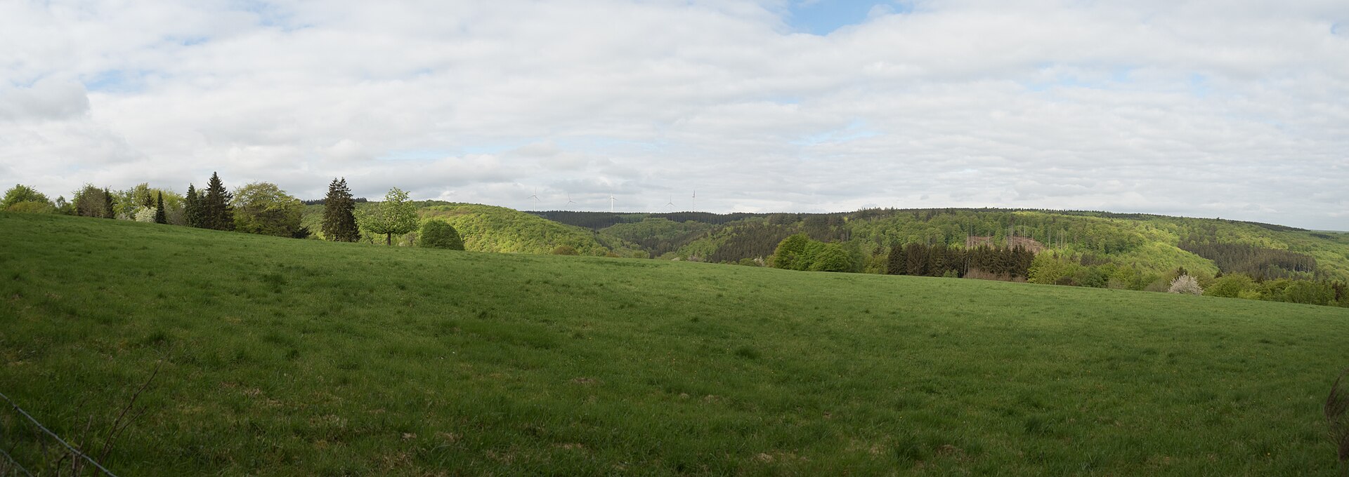 Panorama in der Nordeifel
